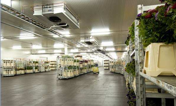 寧波建冷庫(kù)多少錢(qián)一立方？每立方能存多少貨物